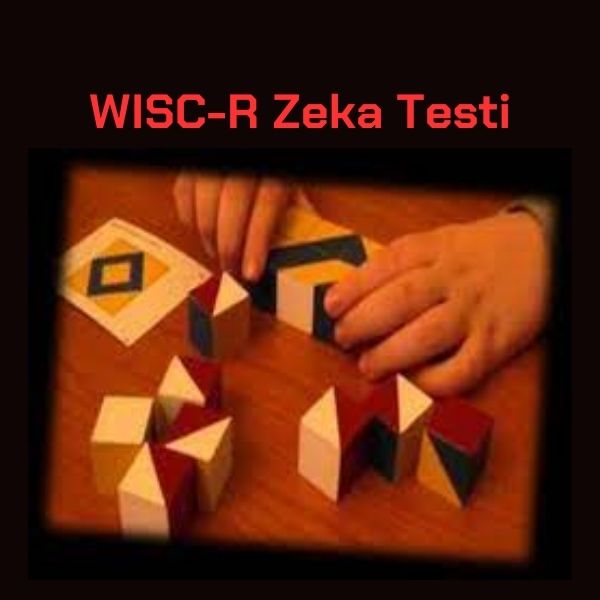 zeka-testi